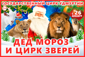 Дед Мороз и цирк зверей (с 2 по 5 января)