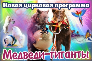Медведи - ГИГАНТЫ